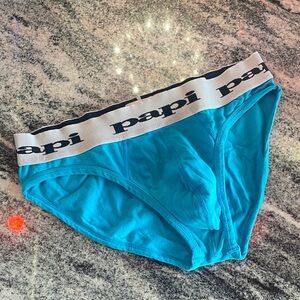 Papi Men's Turquoise Briefs